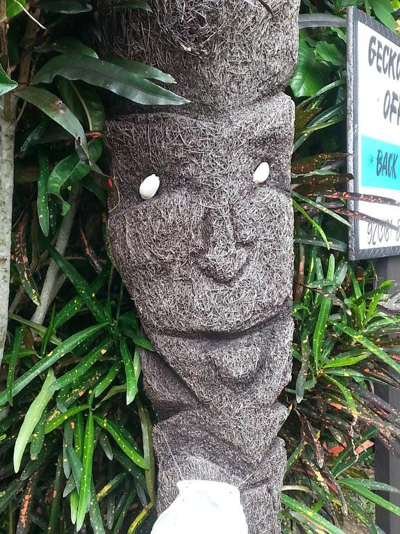 Gecko Lodge Fiji Savusavu Exteriör bild