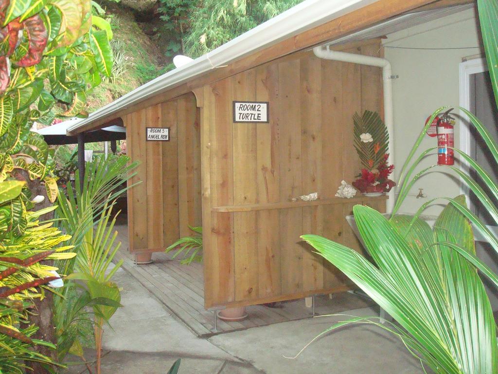 Gecko Lodge Fiji Savusavu Exteriör bild