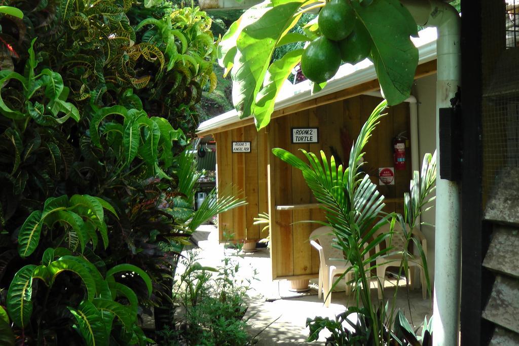 Gecko Lodge Fiji Savusavu Exteriör bild