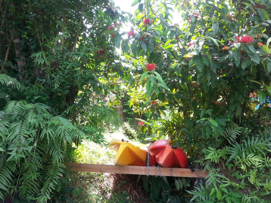 Gecko Lodge Fiji Savusavu Exteriör bild