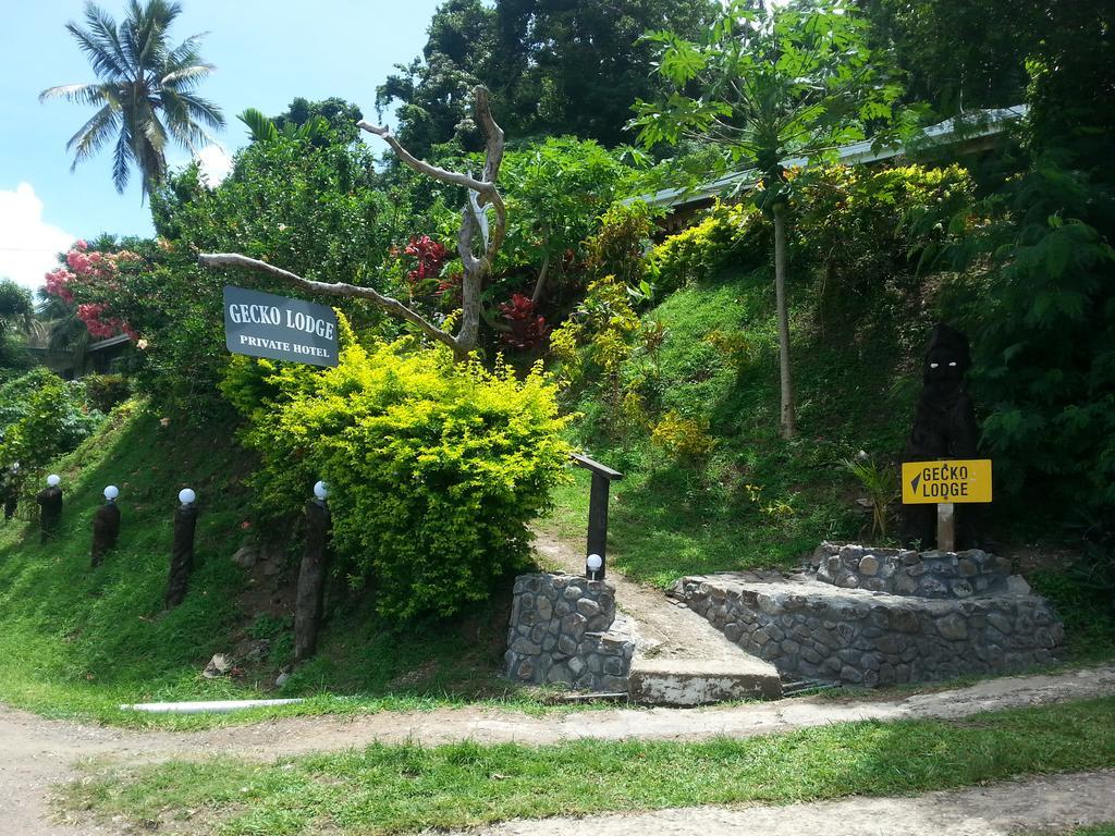 Gecko Lodge Fiji Savusavu Exteriör bild